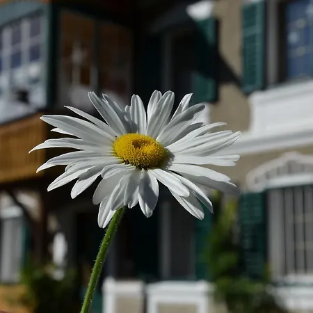 Haus Moser Appartement Oblarn