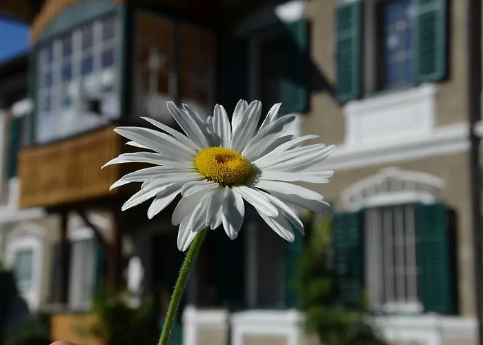 Haus Moser Lägenhet Oblarn